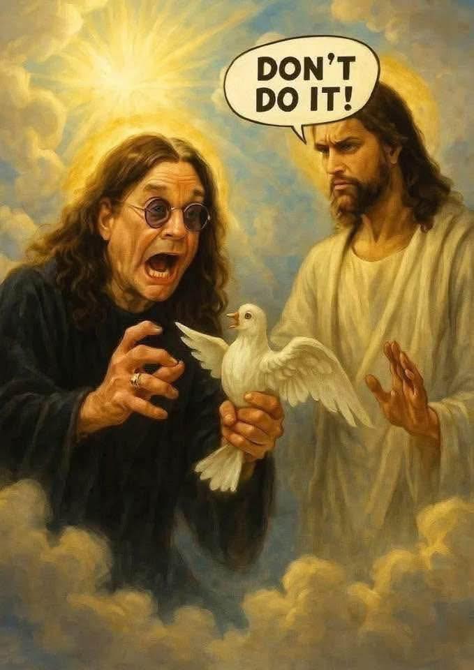 [Image: ozzydove.jpg]