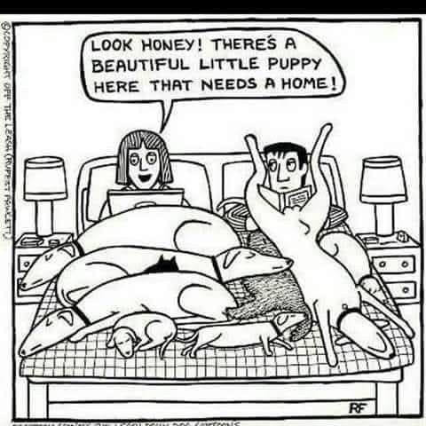 [Image: puppy.jpg]
