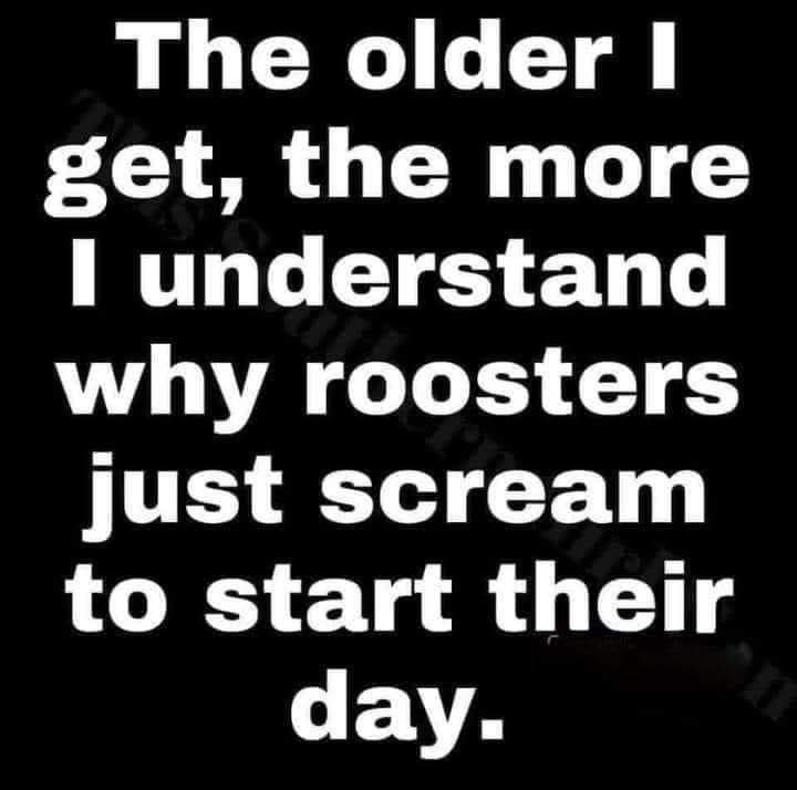[Image: roosters.jpg]
