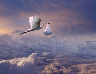 [Image: stork.jpeg]
