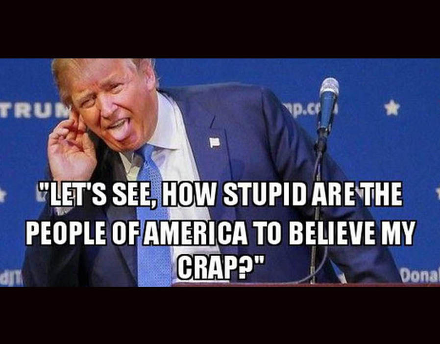 [Image: stupid.jpg]