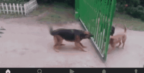 [Image: tenor-2143420268.gif]