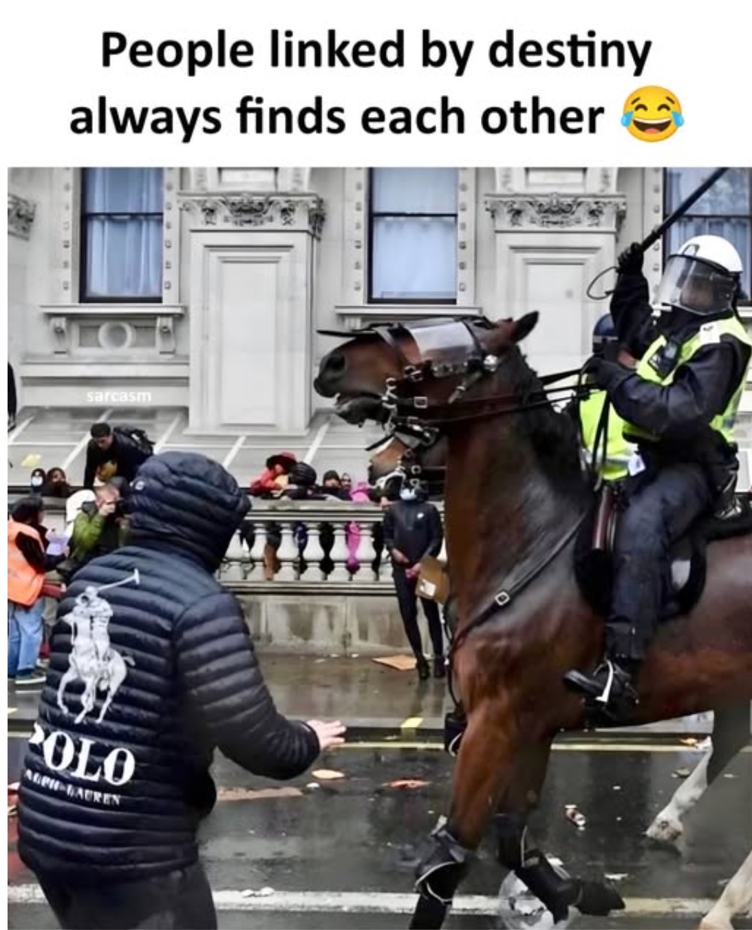 [Image: titj.jpg]
