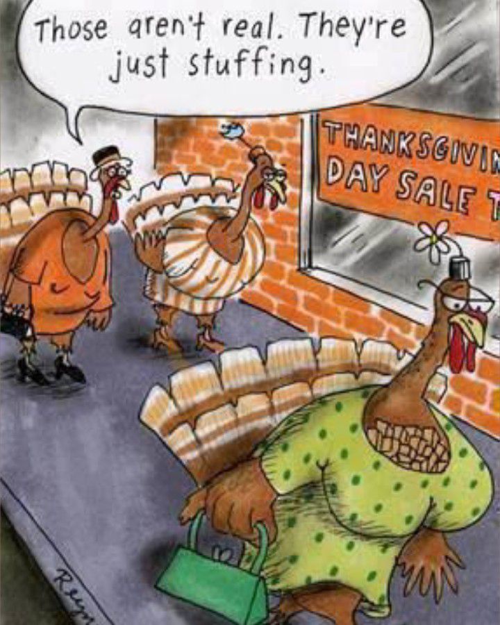 [Image: turkeydd.jpg]