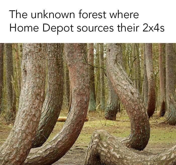 [Image: warp.jpg]