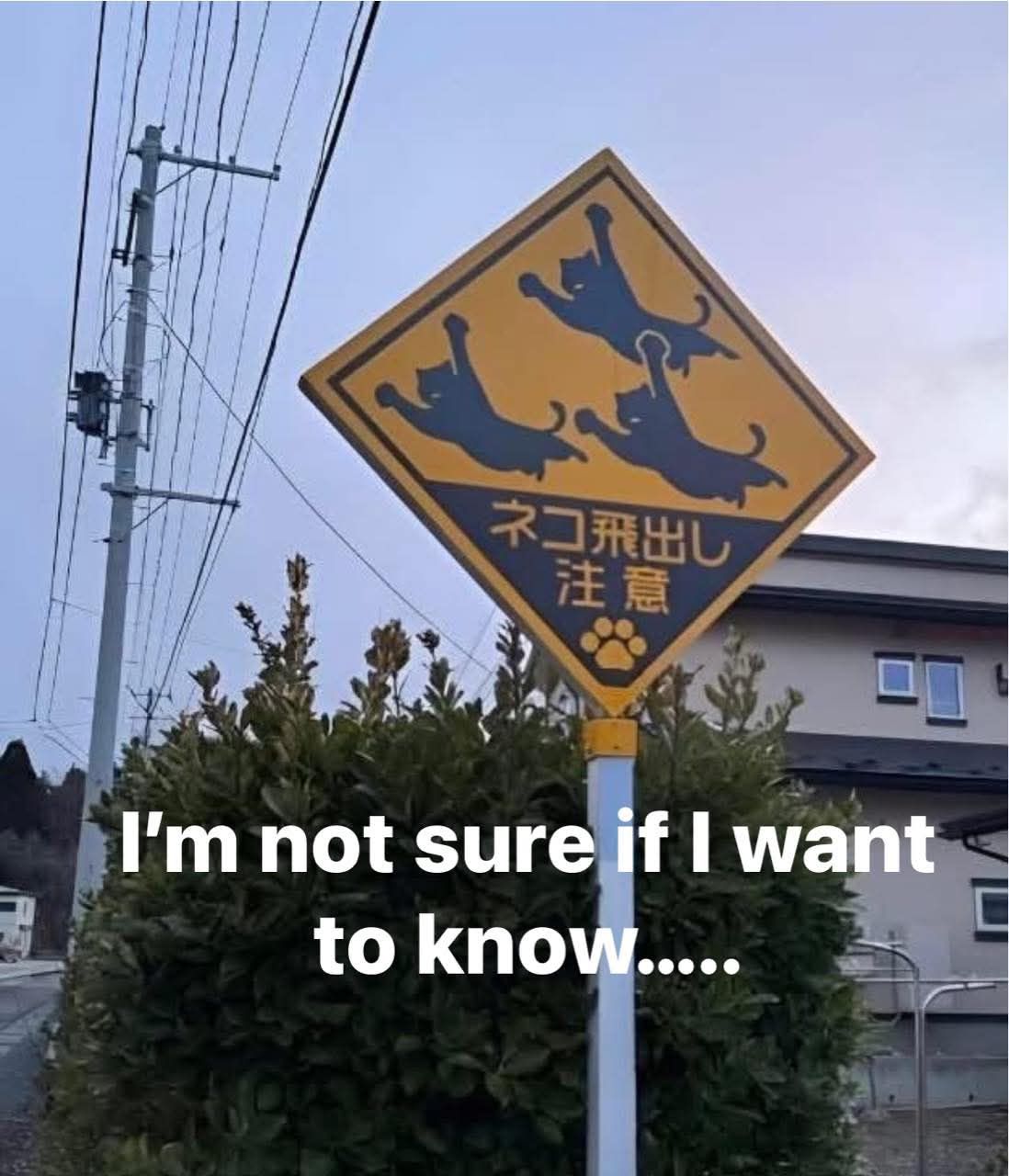 [Image: weirdd.jpg]